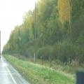 Strassen nach Jelgava (100_0061.JPG) Riga Lettland Baltikum